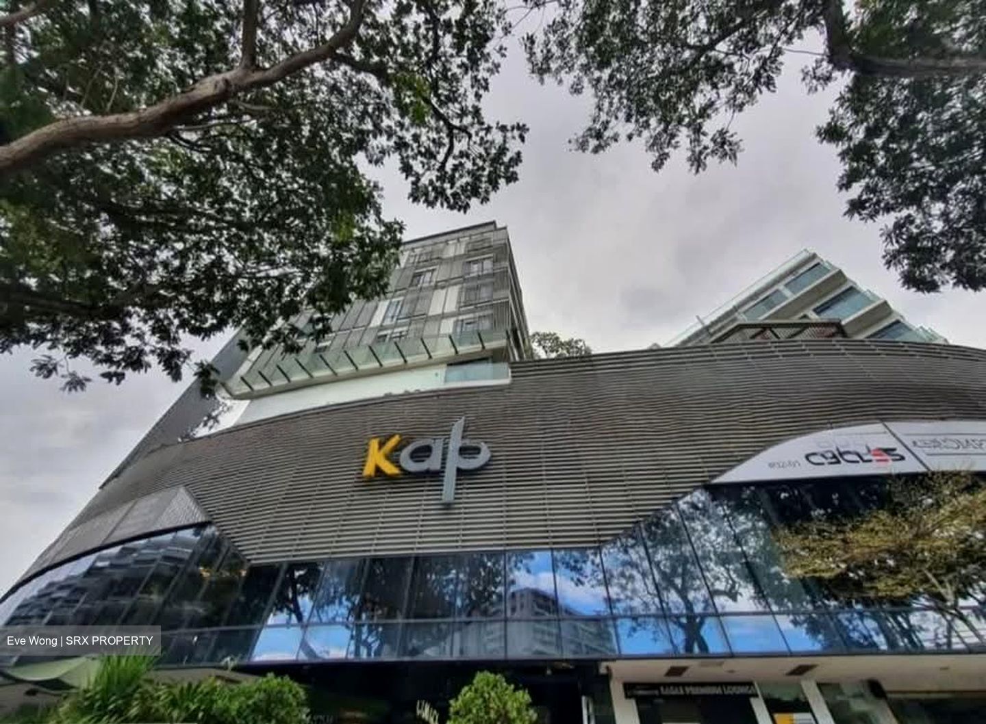 Kap (D21), Retail #569177691